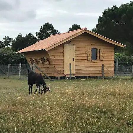 Gite - La Ferme A La Plage Le Porge Eksteriør billede